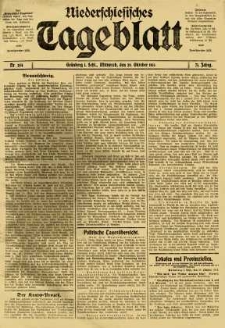 Niederschlesisches Tageblatt, no 254 (Mittwoch, den 29. Oktober 1913)
