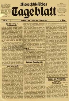 Niederschlesisches Tageblatt, no 256 (Freitag, den 31. Oktober 1913)