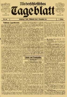 Niederschlesisches Tageblatt, no 295 (Mittwoch, den 17. Dezember 1913)