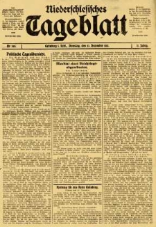 Niederschlesisches Tageblatt, no 300 (Dienstag, den 23. Dezember 1913)