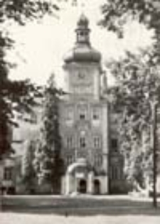 Iłowa k. Żagania; Pałac