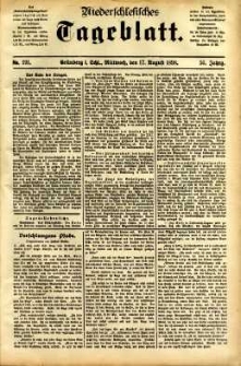 Niederschlesisches Tageblatt, no 191 (Grünberg i. Schl., Mittwoch, den 17. August 1898)