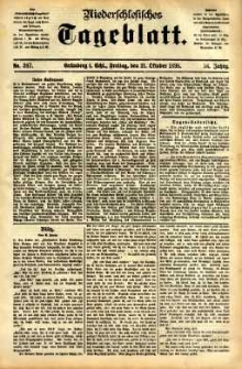 Niederschlesisches Tageblatt, no 247 (Grünberg i. Schl., Freitag, den 21. Oktober 1898)