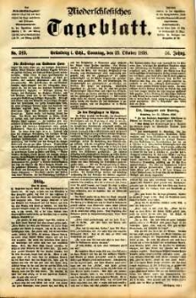 Niederschlesisches Tageblatt, no 249 (Grünberg i. Schl., Sonntag, den 23. Oktober 1898)