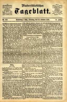 Niederschlesisches Tageblatt, no 250 (Grünberg i. Schl., Dienstag, den 25. Oktober 1898)