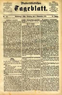 Niederschlesisches Tageblatt, no 256 (Grünberg i. Schl., Dienstag, den 1. November 1898)