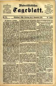 Niederschlesisches Tageblatt, no 261 (Grünberg i. Schl., Sonntag, den 6. November 1898)