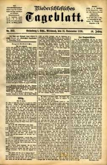 Niederschlesisches Tageblatt, no 269 (Grünberg i. Schl., Mittwoch, den 16. November 1898)