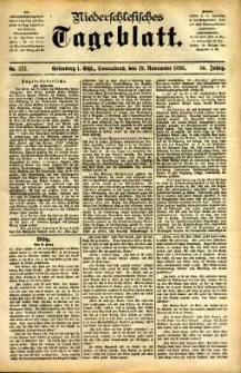 Niederschlesisches Tageblatt, no 271 (Grünberg i. Schl., Sonnabend, den 19. November 1898)