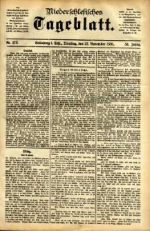Niederschlesisches Tageblatt, no 273 (Grünberg i. Schl., Dienstag, den 22. November 1898)