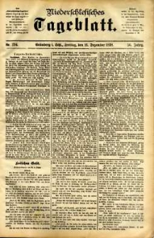 Niederschlesisches Tageblatt, no 294 (Grünberg i. Schl., Freitag, den 16. Dezember 1898)