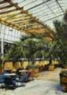 Zielona Góra; Wnętrze kawiarni "Palmiarnia"