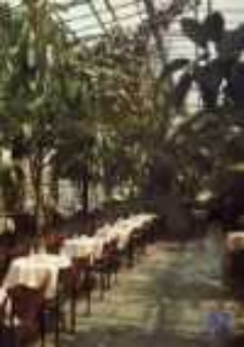 Zielona Góra; Wnętrze kawiarni "Palmiarnia"