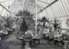 Zielona Góra; Wnętrze palmiarni w Parku Winnym - Kawiarnia - Klub