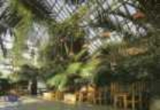 Zielona G&oacute;ra; Palmiarnia