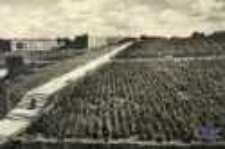 Zielona Góra; Park Winny