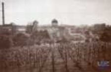 Zielona G&oacute;ra; ul. Wrocławska, Polska Wełna