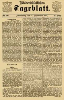 Niederschlesisches Tageblatt, no 207 (Donnerstag, den 4. September 1884)