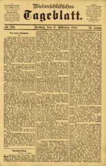 Niederschlesisches Tageblatt, no 244 (Freitag, den 17. Oktober 1884)