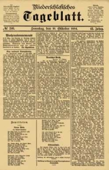 Niederschlesisches Tageblatt, no 246 (Sonntag, den 19. Oktober 1884)