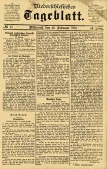 Niederschlesisches Tageblatt, no 47 (Mittwoch, den 25. Februar 1885)
