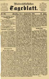 Niederschlesisches Tageblatt, no 203 (Dienstag, den 1. September 1885)