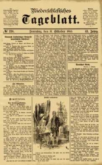 Niederschlesisches Tageblatt, no 238 (Sonntag, den 11. Oktober 1885)