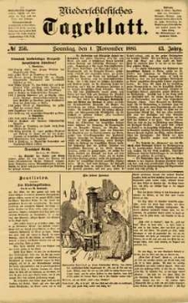 Niederschlesisches Tageblatt, no 256 (Sonntag, den 1. November 1885)