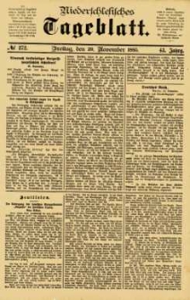 Niederschlesisches Tageblatt, no 272 (Freitag, den 20. November 1885)