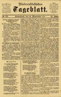 Niederschlesisches Tageblatt, no 273 (Sonnabend, den 21. November 1885)