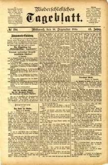 Niederschlesisches Tageblatt, no 294 (Mittwoch, den 16. Dezember 1885)