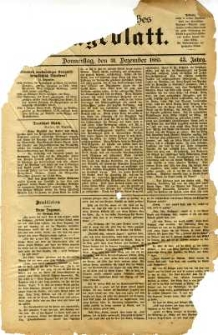 Niederschlesisches Tageblatt, no 305 (Donnerstag, den 31. Dezember 1885)