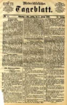 Niederschlesisches Tageblatt, no 41 (Grünberg i. Schl., Freitag, den 17. Februar 1893)