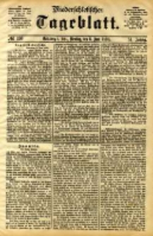 Niederschlesisches Tageblatt, no 130 (Grünberg i. Schl., Dienstag, den 6. Juni 1893)