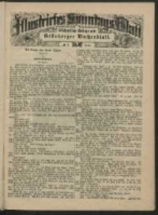 Illustrirtes Sonntags Blatt: Wöchentliche Beilage zum Grünberger Wochenblatt, No. 5. (1884)