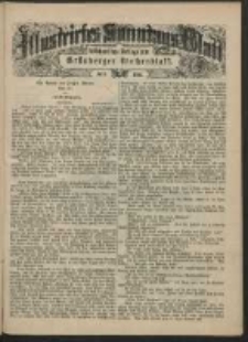Illustrirtes Sonntags Blatt: Wöchentliche Beilage zum Grünberger Wochenblatt, No. 8. (1884)