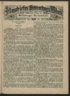 Illustrirtes Sonntags Blatt: Wöchentliche Beilage zum Grünberger Wochenblatt, No. 12. (1884)