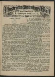 Illustrirtes Sonntags Blatt: Wöchentliche Beilage zum Grünberger Wochenblatt, No. 13. (1884)