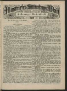 Illustrirtes Sonntags Blatt: Wöchentliche Beilage zum Grünberger Wochenblatt, No. 29. (1884)