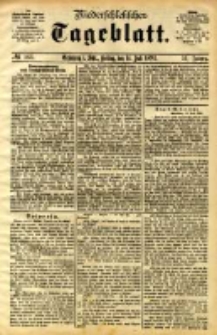 Niederschlesisches Tageblatt, no 163 (Grünberg i. Schl., Freitag, den 14. Juli 1893)