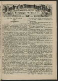 Illustrirtes Sonntags Blatt: Wöchentliche Beilage zum Grünberger Wochenblatt, No. 31. (1884)