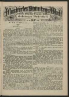 Illustrirtes Sonntags Blatt: Wöchentliche Beilage zum Grünberger Wochenblatt, No. 33. (1884)