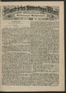 Illustrirtes Sonntags Blatt: Wöchentliche Beilage zum Grünberger Wochenblatt, No. 41. (1884)