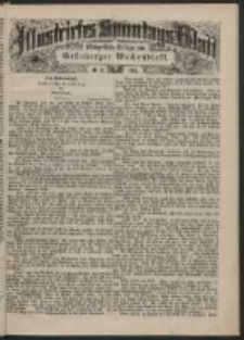 Illustrirtes Sonntags Blatt: Wöchentliche Beilage zum Grünberger Wochenblatt, No. 45. (1884)