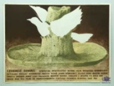 Czerwone dzwony: radziecko-meksykańsko-włoski film społeczno-historyczny