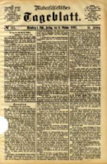 Niederschlesisches Tageblatt, no 241 (Grünberg i. Schl., Freitag, den 13. Oktober 1893)