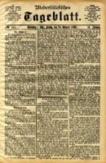 Niederschlesisches Tageblatt, no 247 (Grünberg i. Schl., Freitag, den 20. Oktober 1893)