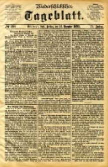 Niederschlesisches Tageblatt, no 300 (Grünberg i. Schl., Freitag, den 22. Dezember 1893)