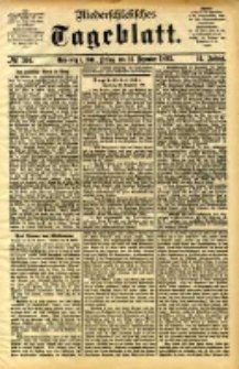 Niederschlesisches Tageblatt, no 304 (Grünberg i. Schl., Freitag, den 29. Dezember 1893)