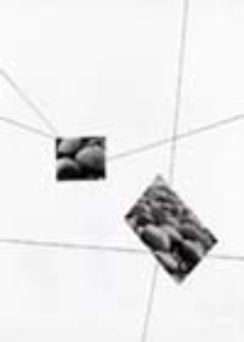 Obiekty dynamiczne w Hünfeld